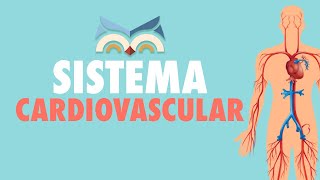 Sistema Cardiovascular  Toda Matéria [upl. by Rafaelita]