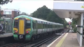 Trains at Polegate Station 25th August 2024 [upl. by Alik]