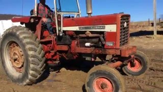 International Harvestor IH 544 Tractor FOR SALE [upl. by Ahsieker]