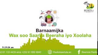 Barnaamijka Horumarinta wax soo saarka Beeraha iyo xoolaha ee Radio Beerlula [upl. by Clare192]