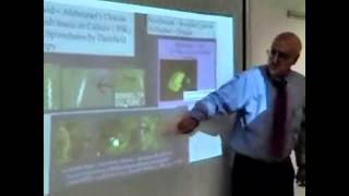 Alzheimer Borreliosis Lecture London June 4 2014 [upl. by Jobye]