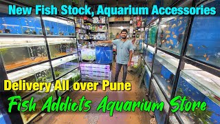 New Fish Stock at Fish Addicts Aquarium Store in Pune I Delivery Available All over Pune [upl. by Rawde252]