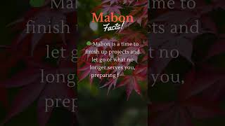 Mabon Facts lightwarriorslegion mabon paganism [upl. by Belvia]