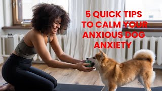 5 Quick Tips To Calm Your Anxious Dog Anxiety [upl. by Hpeosj]