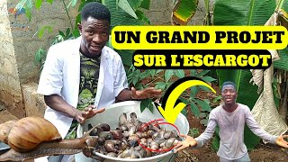 Parlons dhéliciculture élevage des escargots avec le Coach Emmanuel lAgronome  Achatina [upl. by Odericus554]