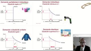 Comprendre les élasticités le cas de lélasticitéprix de la demande ECONOMIE [upl. by Combs]