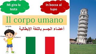 Impara l’italiano – تعلم أعضاء جسم الانسان بالإيطالية مع أهم و أشهر التعبيرات المرتبطة بأعضاء الجسم [upl. by Artemahs]