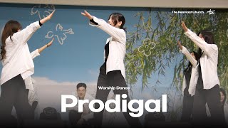 Prodigal  Sidewalk ProphetsㅣWorship Dance [upl. by Eugenle266]