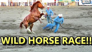 WILD HORSE RACE CRAZY [upl. by Abekam]