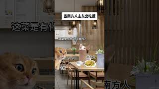 当南方人去东北吃饭 猫meme小剧场 意想不到的结局 猫meme日常 万万想不到 南北饮食大不同 猫 cat funny 猫meme [upl. by Eltsirk12]