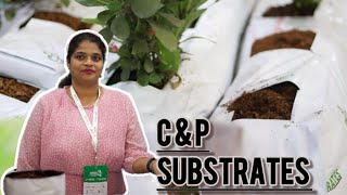 Agritech West Africa 2024 Exhibition  C amp P Substrates [upl. by Liris]