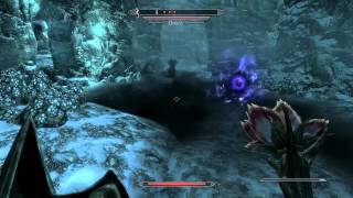 Lets Play TES Skyrim 109 DeutschHD  Verdammt hartnäckige Chaurus [upl. by Bowes]