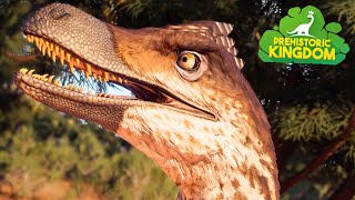 VELOCIRAPTORS are here  Prehistoric Kingdom 4K [upl. by Volpe]