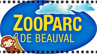 DIAPO Les animaux du Zoo Parc de Beauval [upl. by Nuhsyar999]