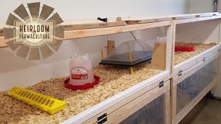 The Ultimate NonElectric Brooder For Raising Chicks OFF Grid [upl. by Nobile917]