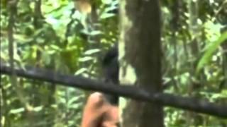 Rare footage of an isolated indian tribe in the Amazon [upl. by Dnyletak178]