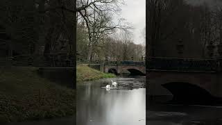 Duivenvoorde Castle 🇳🇱 Oldest Castle in South Holland Voorschoten marveler travel asmr shorts [upl. by Pollyanna]