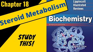 Lippincotts Biochemistry Review Chapter 18 Cholesterol and Steroid Metabolism  Study This [upl. by Xenos]