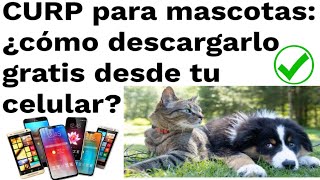 GRATIS CURP DESDE TU CELULAR PARA MASCOTAS DE COMPAÑIA PERROS Y GATOS AQUÍ PASOS [upl. by Branen320]