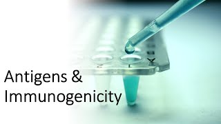 Antigens amp Immunogenicity [upl. by Ydderf]