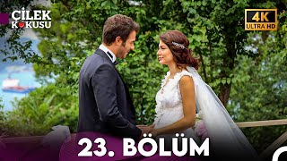 Çilek Kokusu 23 Bölüm 4K  FİNAL [upl. by Eilema806]