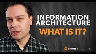 Your Intro to Information Architecture  Michigan Web Design  Artonic [upl. by Nathanael87]