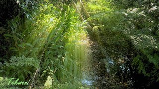 Synchronising Frequencies Brenda McFees Insights on Ngome Marian Shrine [upl. by Hgielram]