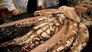 Science Live Colossal Squid [upl. by Netsryk]