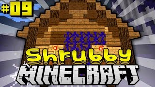 DAS SELTSAME HAUS  Minecraft Shrubby 09 DeutschHD [upl. by Einahpetse393]