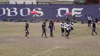 TAUROS LOBOS VS CIMARRONES QRO [upl. by Novak]