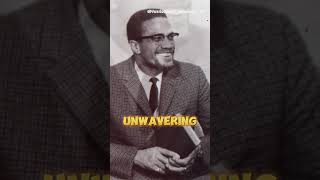 The Truth About Malcolm X Assassination Documentary [upl. by Misty]