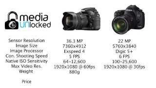 Review Nikon D810 vs 5D Mark iii [upl. by Leigha]