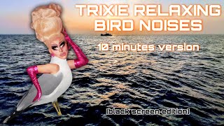 Trixie Mattel relaxing bird noises to help you sleep  10 minutes version black screen [upl. by Leziar]