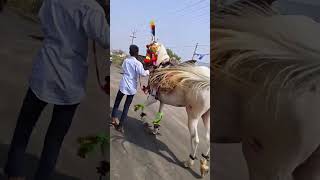 horse danse महाराष्ट्र केसरी घोडा चॅम्पियन वाशिम ची पद्मावती राणी horseback horser horsedance [upl. by Lesly]