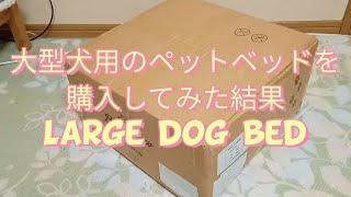 大型犬用のペットベッドを購入してみた結果 Large dog bed 【ラブラドールレトリバー・Labrador retriever】 [upl. by Nosned]