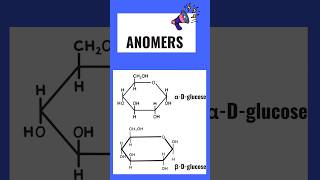 What is anomers👍  Anomers of glucose shorts youtubeshorts [upl. by Nehgaem]