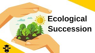 Ecological SuccessionPrimary and Secondary [upl. by Jamin104]