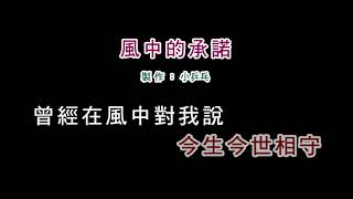 伴奏版李翊君風中的承諾DIY卡拉OK字幕 [upl. by Cardie]