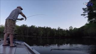 Spro Frog Fishing Montage of Spring 2017 [upl. by Trefler]