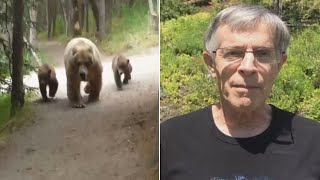 Hiker Records Video As Mama Bear And Cubs Follow Him Along Trail [upl. by Marden]