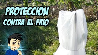 3 Formas de PROTEGER las PLANTAS del FRÍO 😨 l La Huerta de Ivan [upl. by Secnarf385]