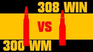 Duel numéro 1  300 WM VS 308 Win Partie 1 [upl. by Shirberg]