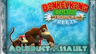 Aqueduct Assault Remix  Donkey Kong Country Tropical Freeze [upl. by Ahsemac]