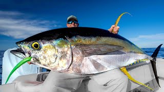 MASSIVE Yellowfin TunaCatch Clean Cook [upl. by Dolly45]