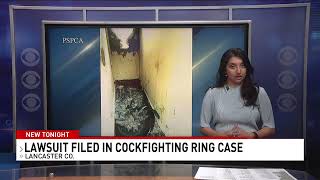 Fatima Moien  News at 5 PM Cockfighting investigation  WHPTV  CBS21 News [upl. by Eolcin]