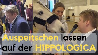 Auspeitschen lassen auf der HIPPOLOGICA 2019 [upl. by Sekofski]