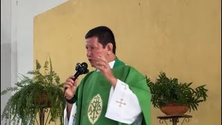 LA IGLESIA ES LA PLENITUD DE CRISTO Padre Luis Toro [upl. by Ativla]