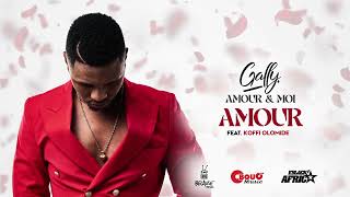 Gally  Amour feat Koffi Olomide Official Audio [upl. by Nitreb]