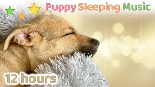 ☆ 12 HOURS ☆ Puppy Sleeping Music 🐶 ♫ Dog Sleep Music ☆ Calm Down Music ☆ Dog Anxiety Music [upl. by Towbin]