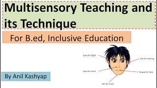 Multisensory Teaching For BEd Creating an Inclusive School By Anil Kashyap [upl. by Emiolhs492]